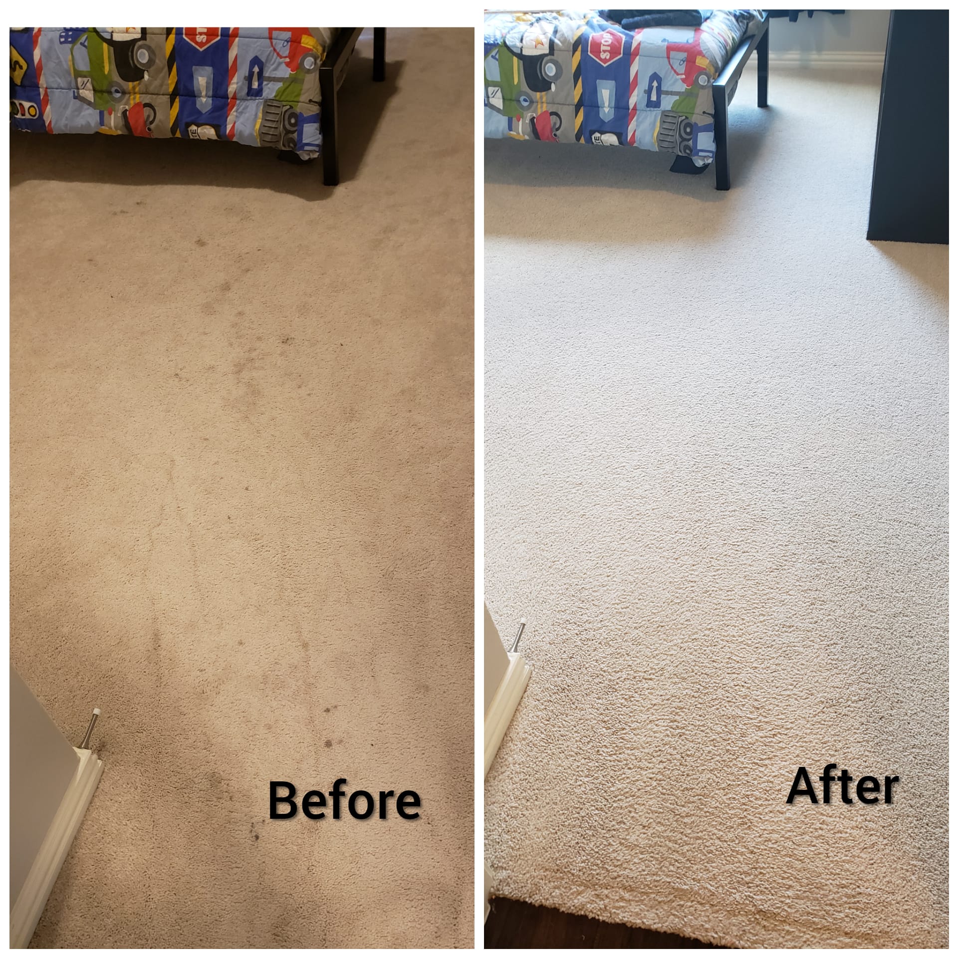 Carpet Cleaners Tampa FL Copy