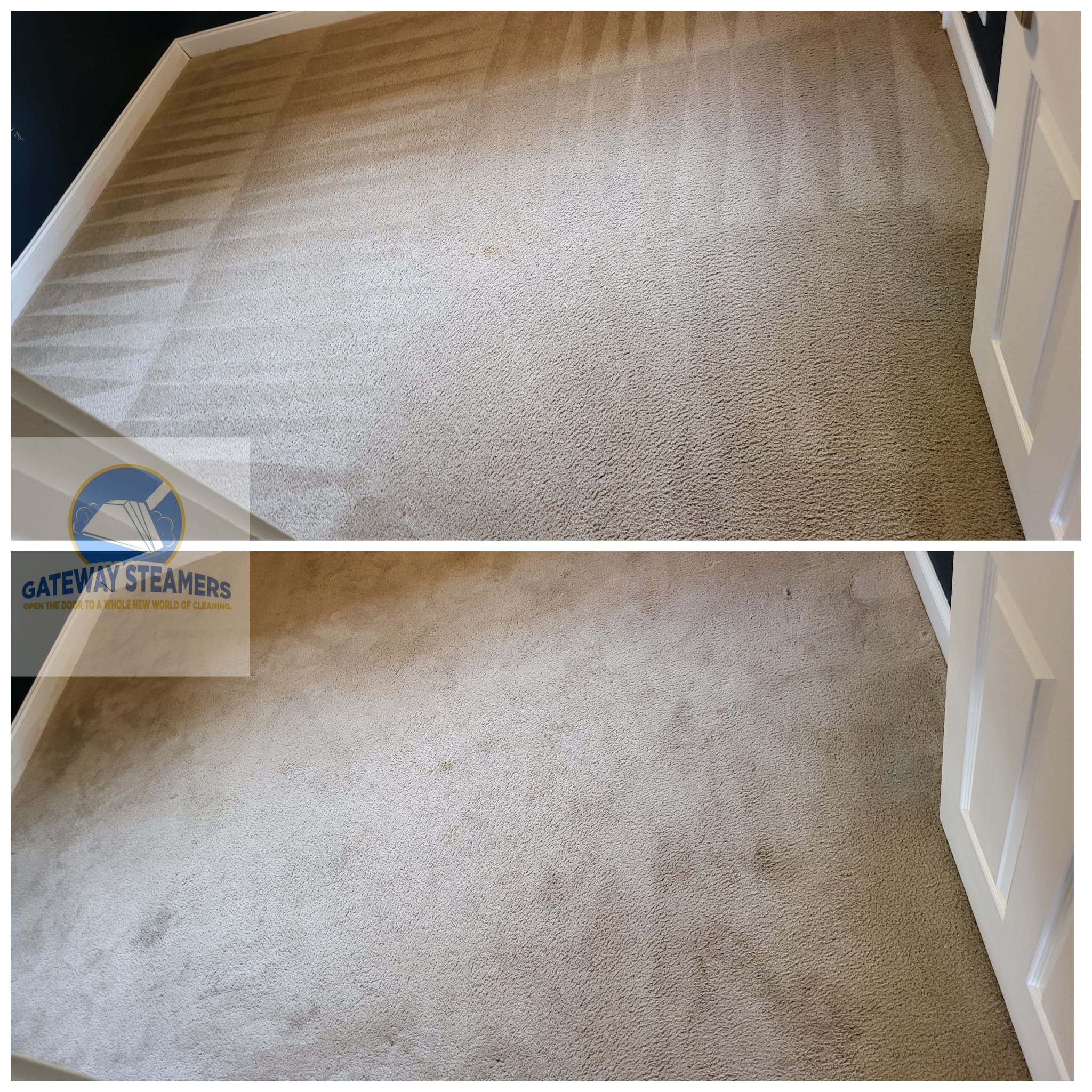 carpet-cleaning-service-in-Tampa-FL